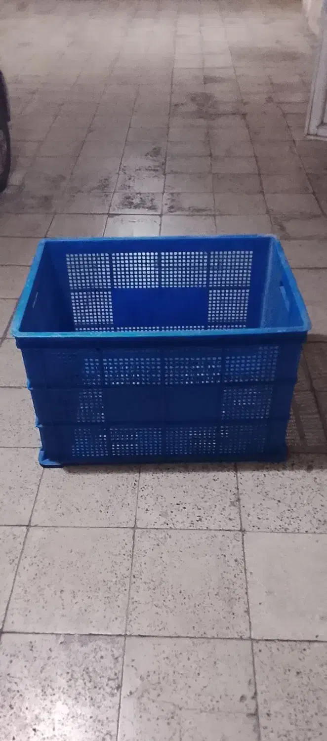 سبدمرغی|ظروف نگهدارنده، پلاستیکی، یکبارمصرف|تهران, مشیریه|دیوار