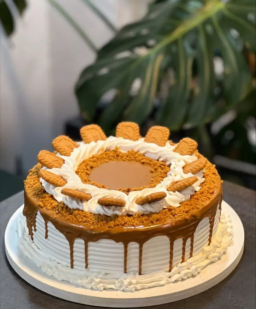 کیک های کافیشاپی خونگی|خوردنی و آشامیدنی|قم, انسجام|دیوار