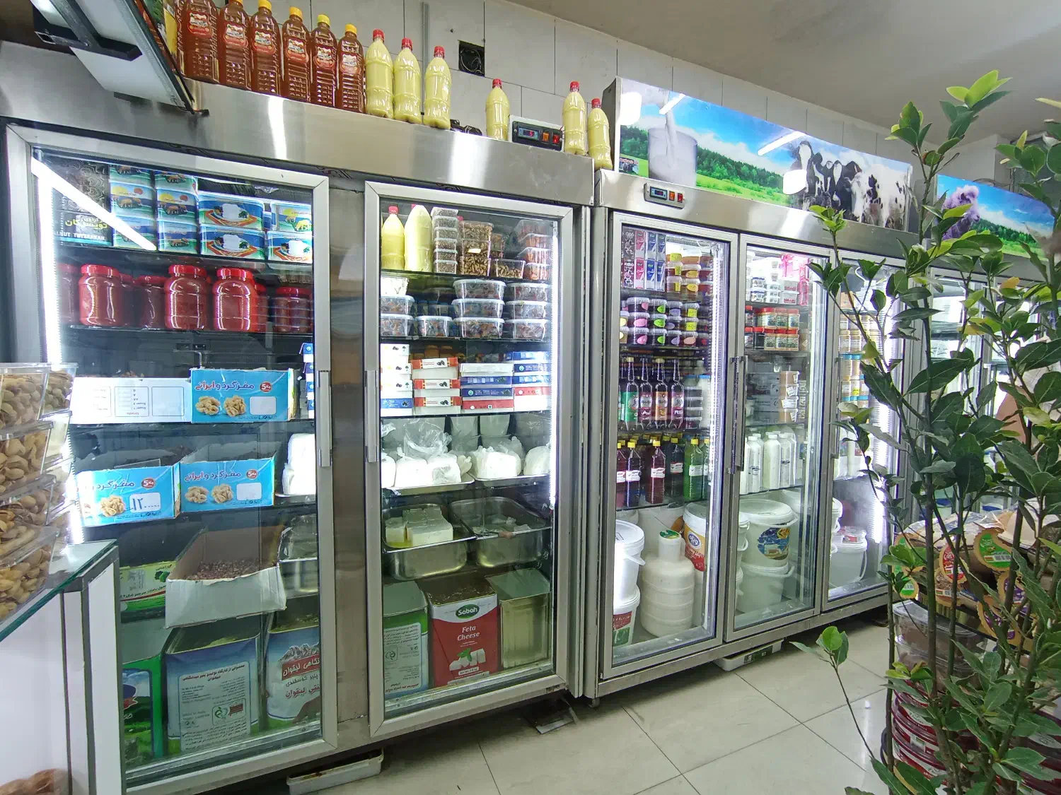 تعمیر انواع یخچال فریزر صنعتی خانگی شوکیک شارژگاز|خدمات پیشه و مهارت|تهران, یوسفآباد|دیوار