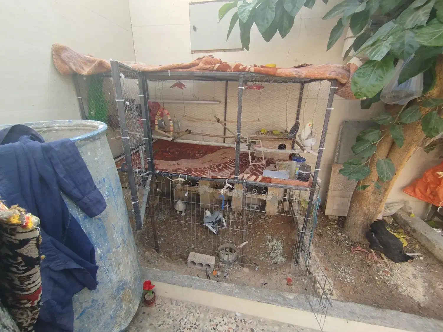 فروش قفس مناسب پرنده ها|لوازم جانبی حیوانات|لیکک, |دیوار