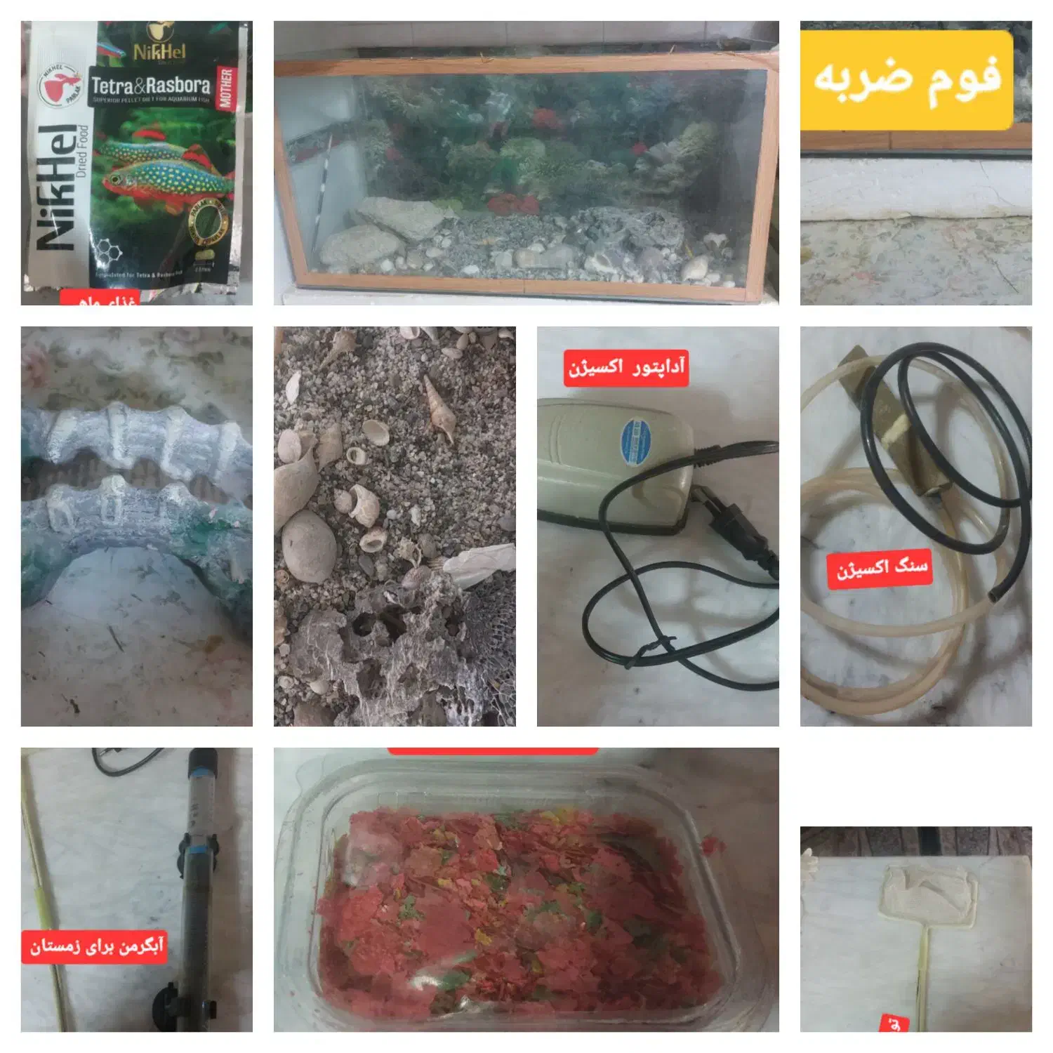 آکواریوم|ماهی|سیب و سوران, |دیوار