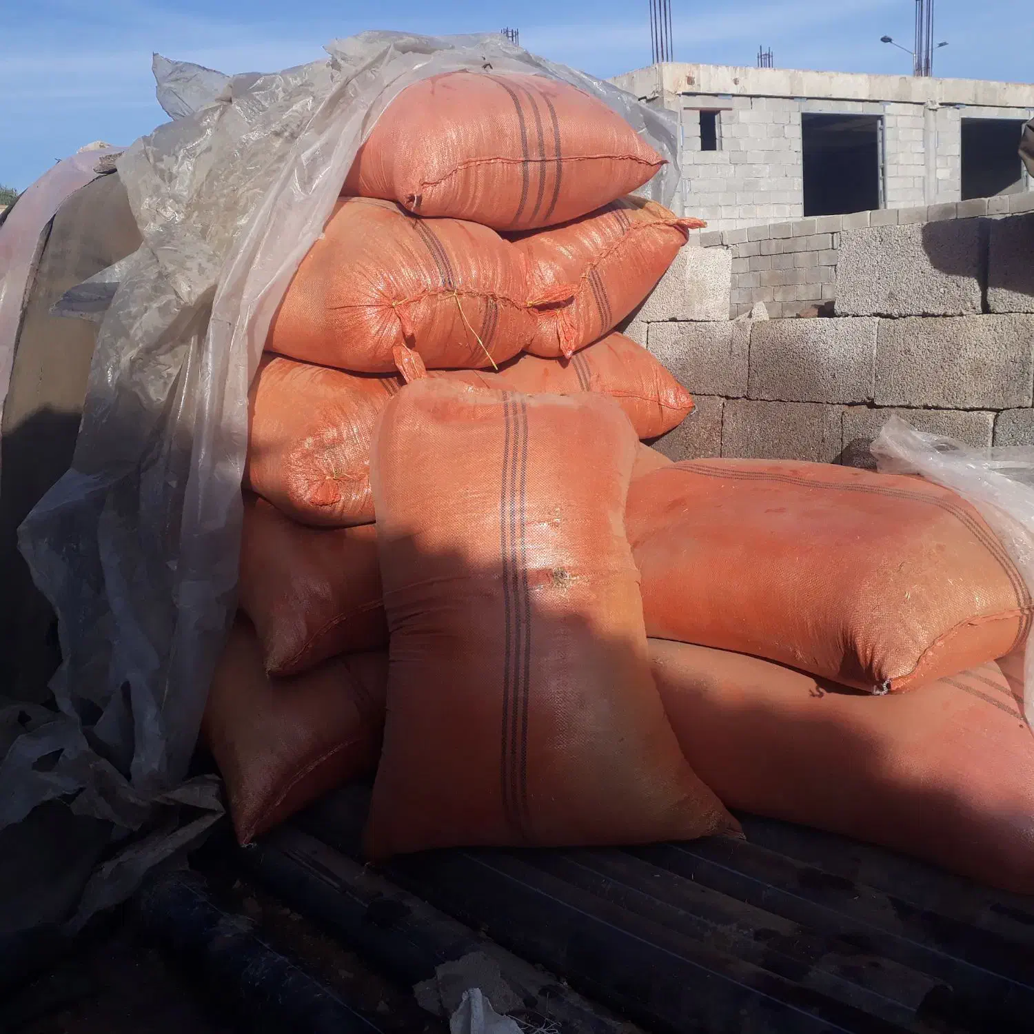 ۳۰عدد شلیف کاه ماش|لوازم جانبی حیوانات|گتوند, |دیوار