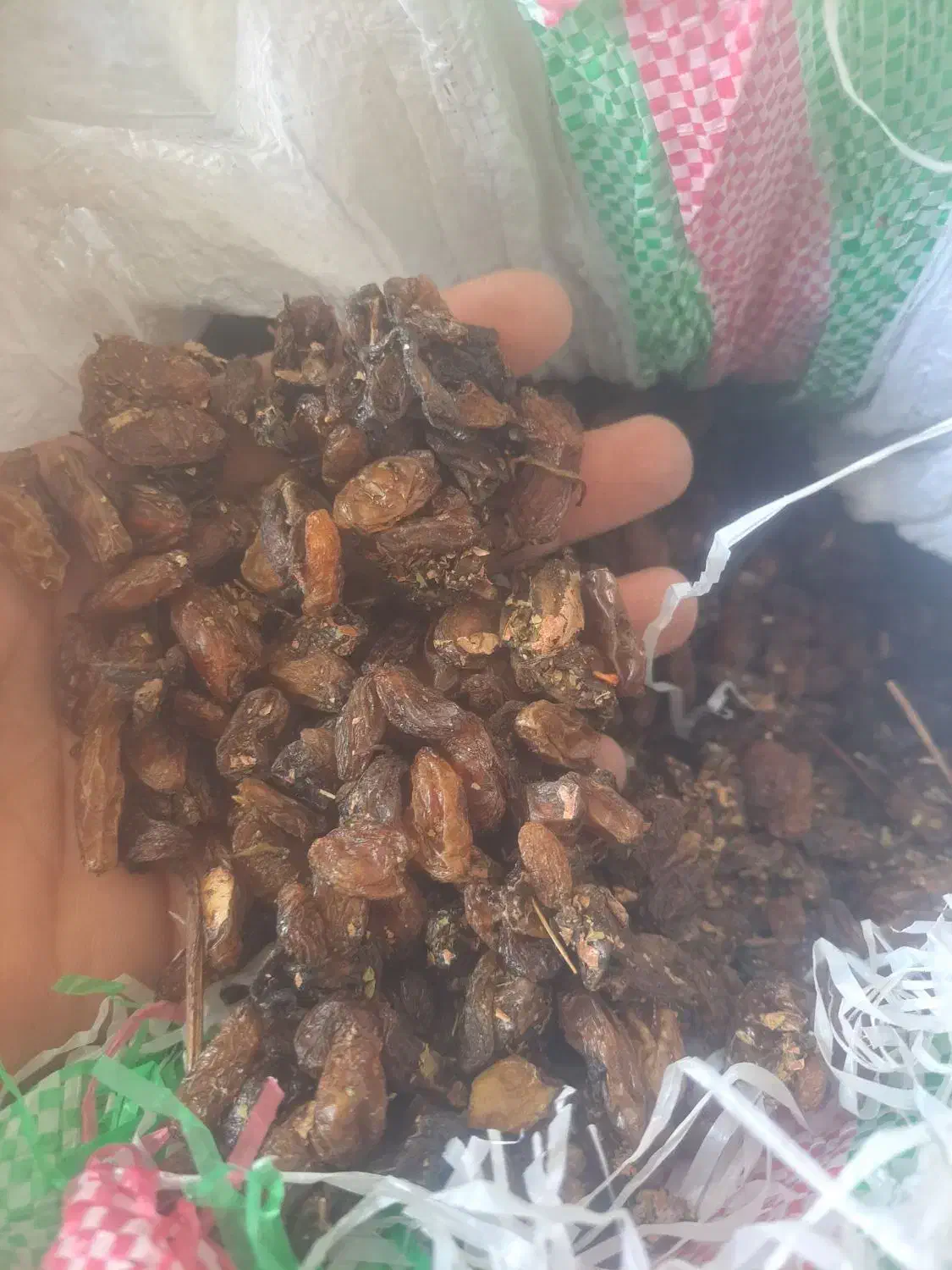 گله|خوردنی و آشامیدنی|کاشمر, |دیوار