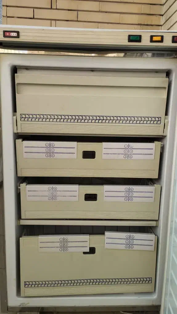 فریزر|یخچال و فریزر|شیراز, رازی|دیوار