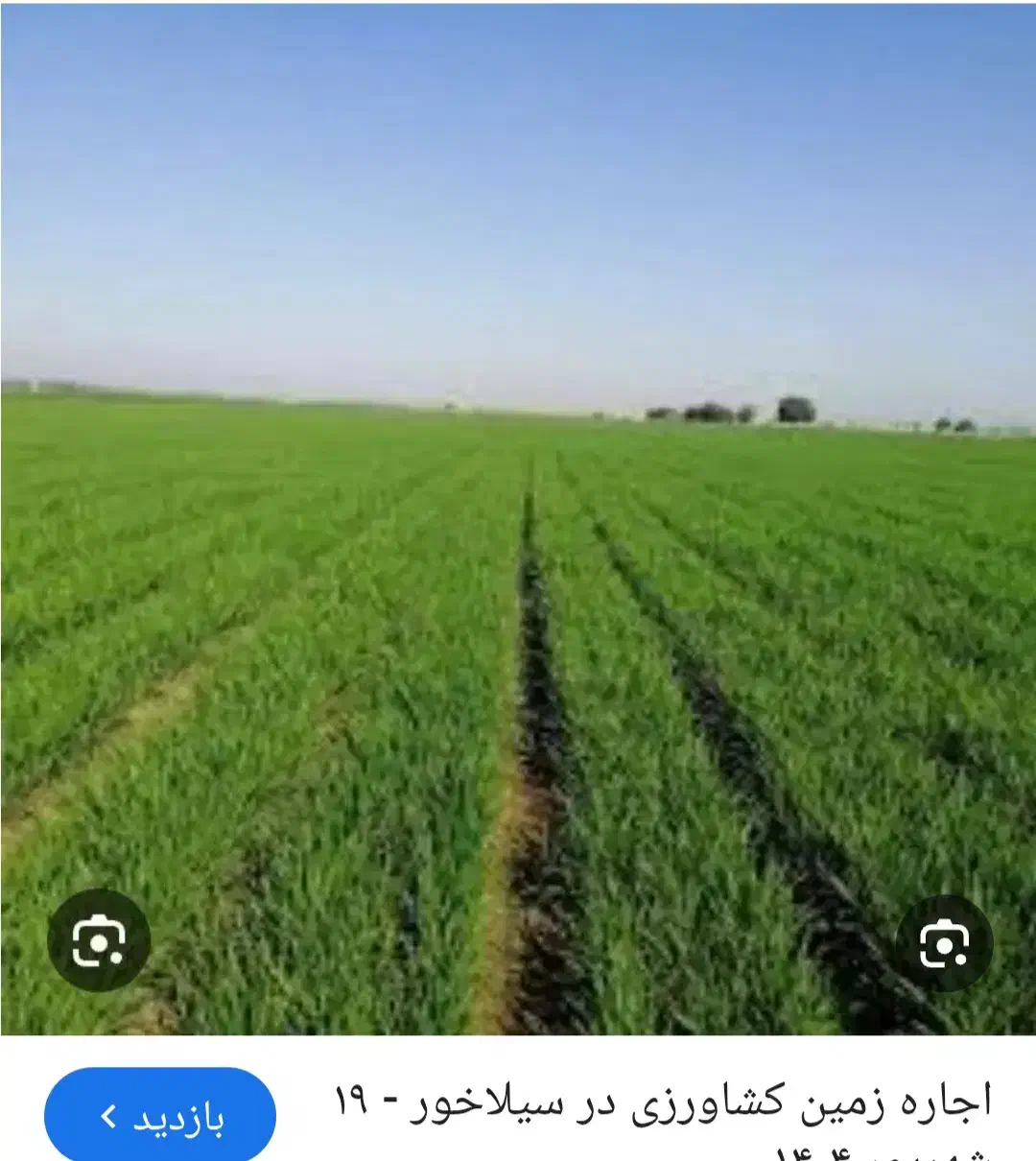 اجاره زمین کشاورزی بروجرد درود|اجارهٔ دفتر صنعتی، کشاورزی، تجاری|سیلاخور, |دیوار