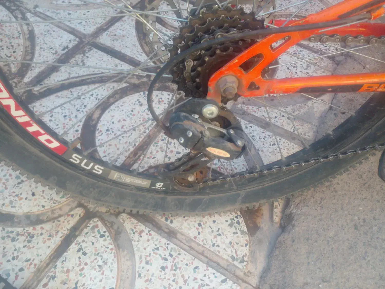 دوچرخه|دوچرخه، اسکیت، اسکوتر|خوی, |دیوار