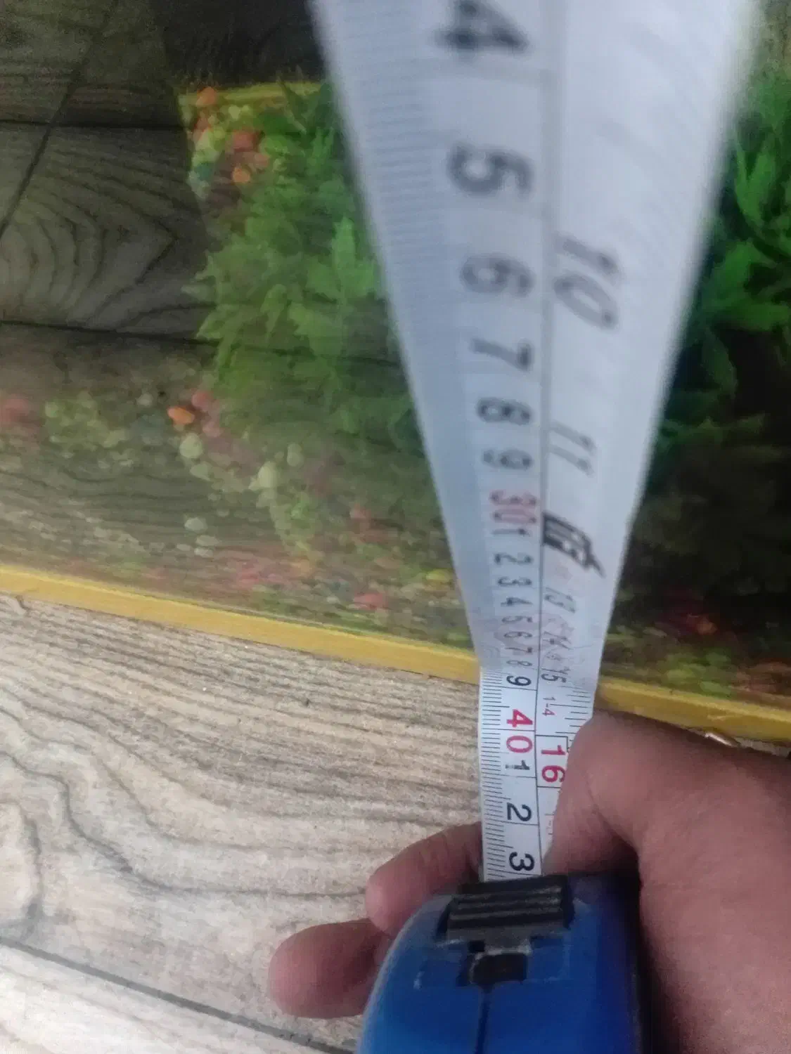 آکواریم|ماهی|تبریز, |دیوار