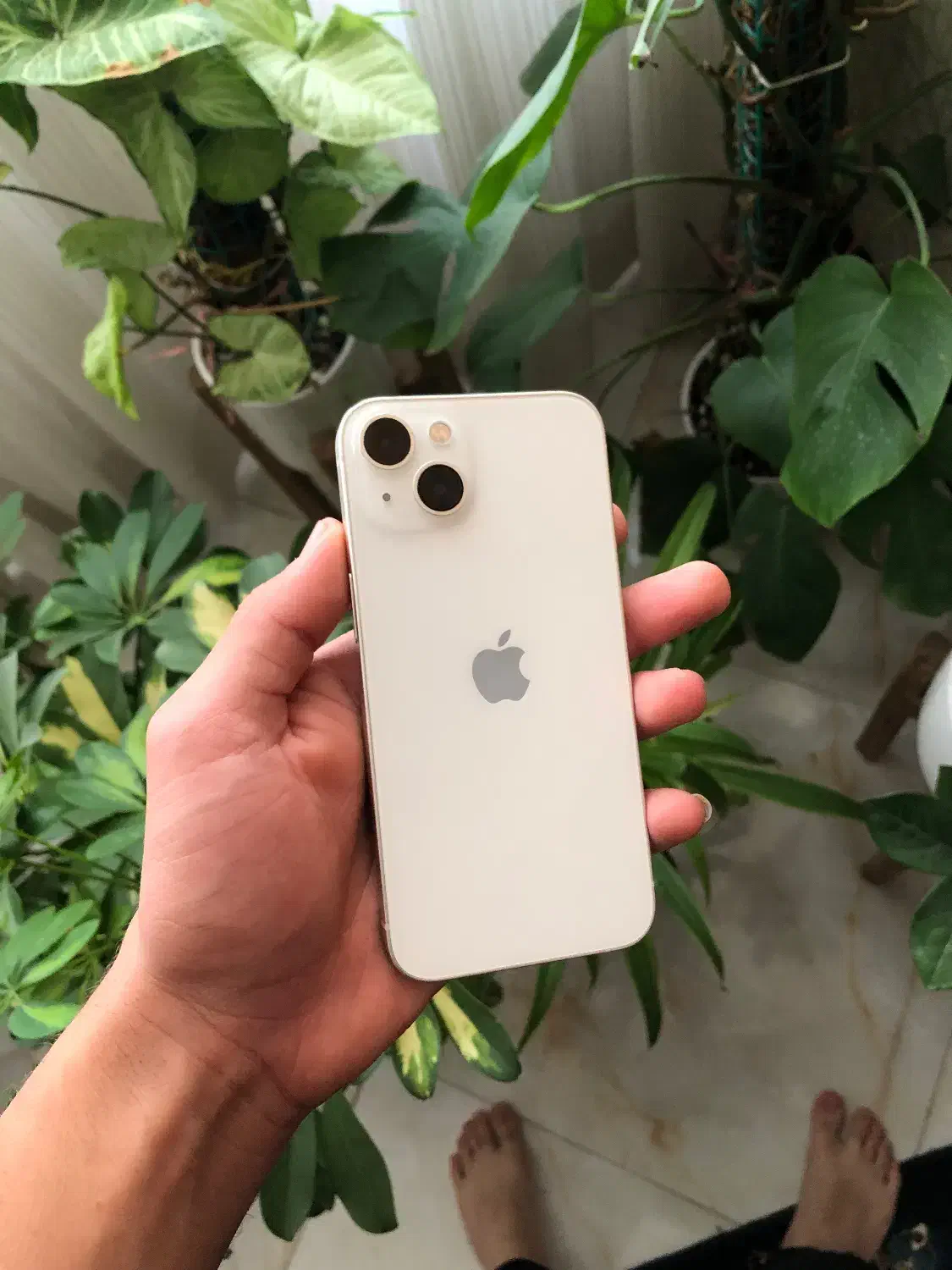 ایفون ۱۳ نرمال|موبایل|بجنورد, |دیوار