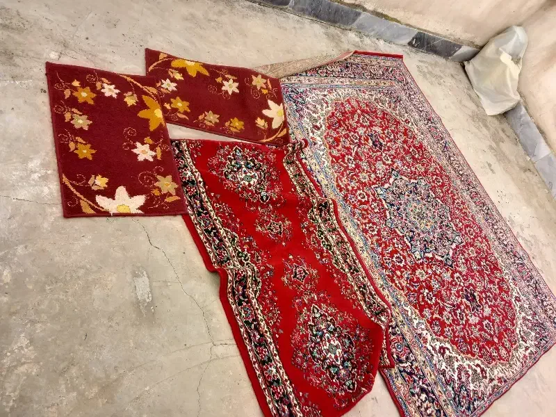 قالی ۶ متری|فرش|گرگان, |دیوار