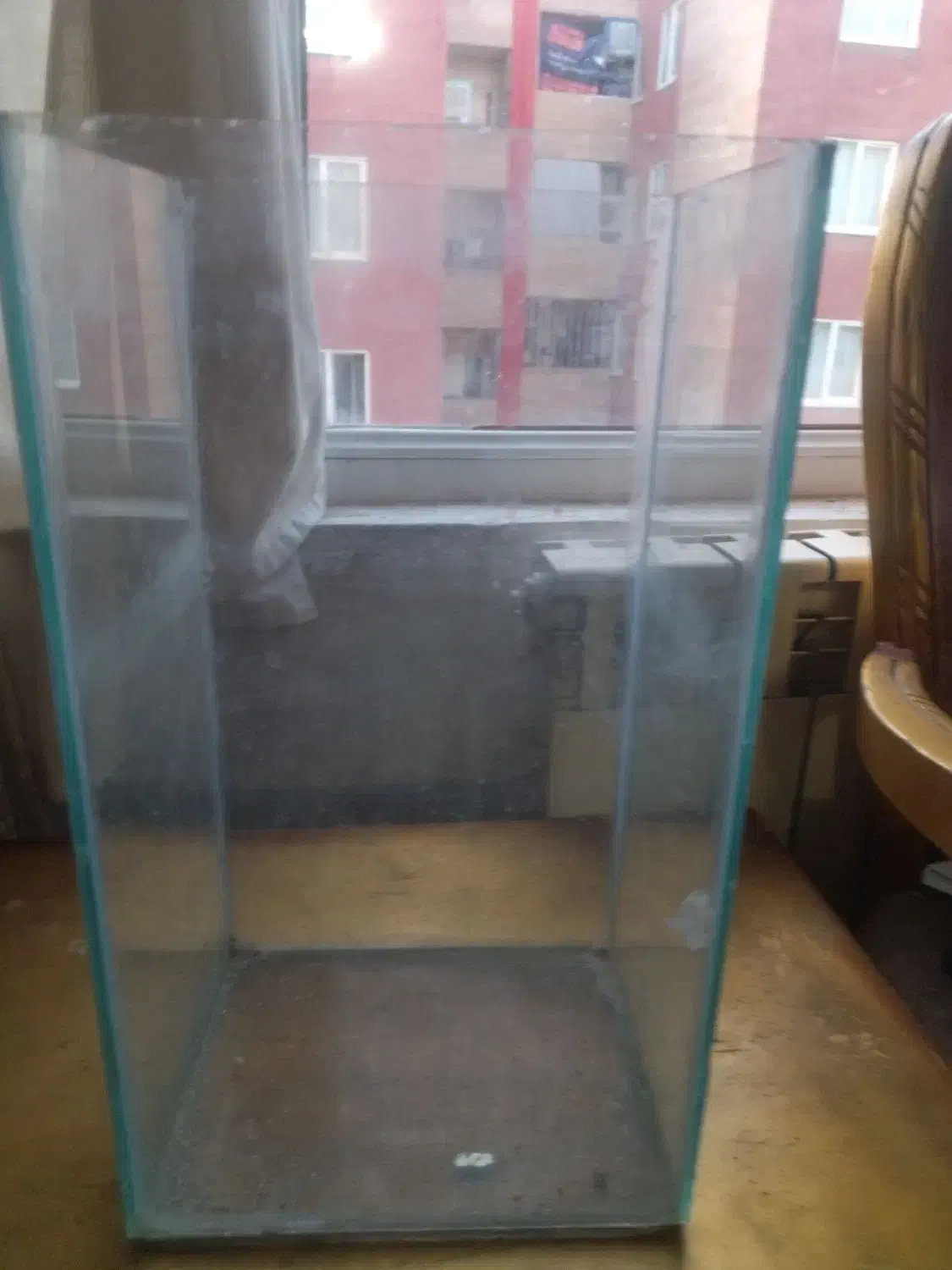 آکواریوم طول ۴۰ عرض ۲۰|ماهی|محمدیه-قزوین, |دیوار