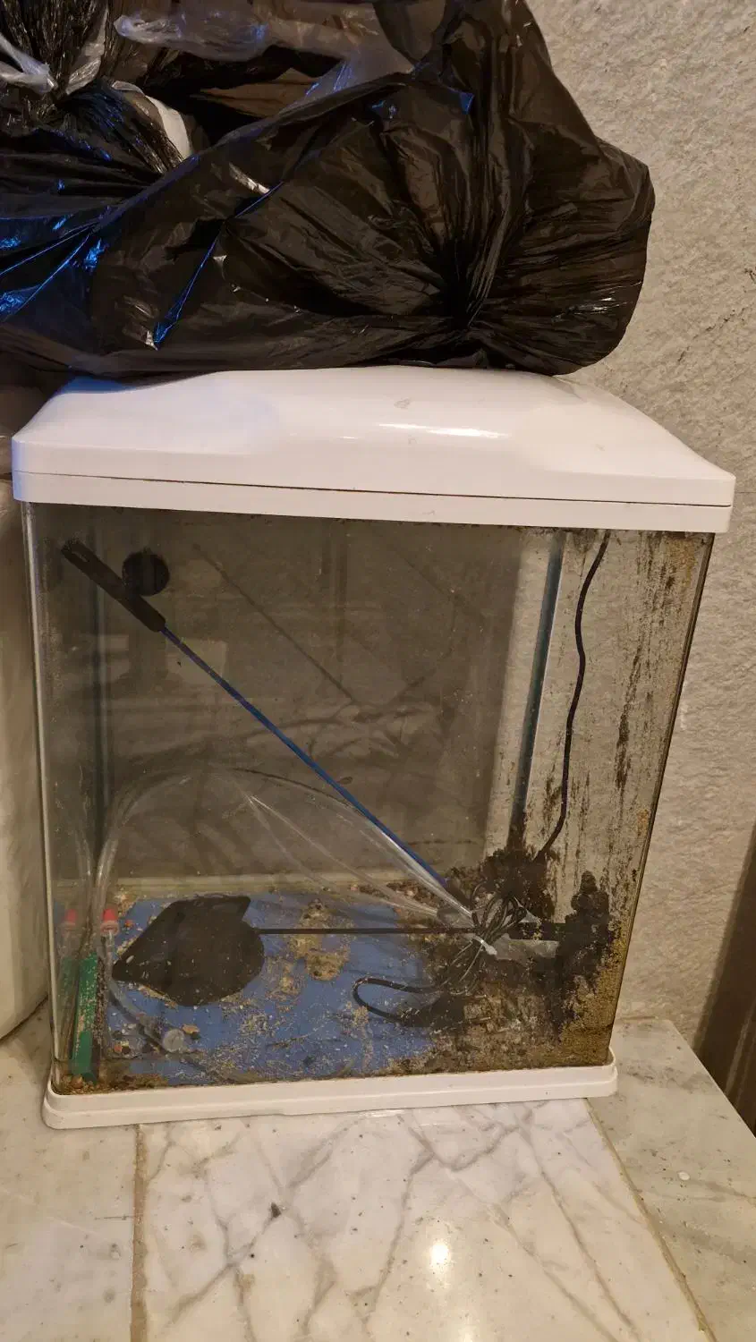 آکواریوم|ماهی|اصفهان, فرح آباد|دیوار