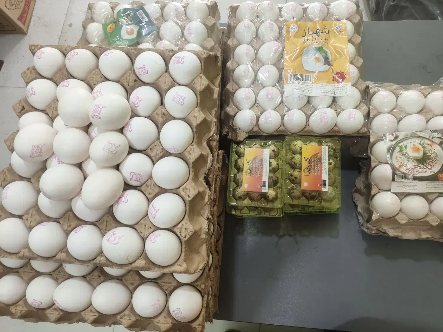پخش عمده تخم مرغ کارتنی|خوردنی و آشامیدنی|قم, نخودی|دیوار