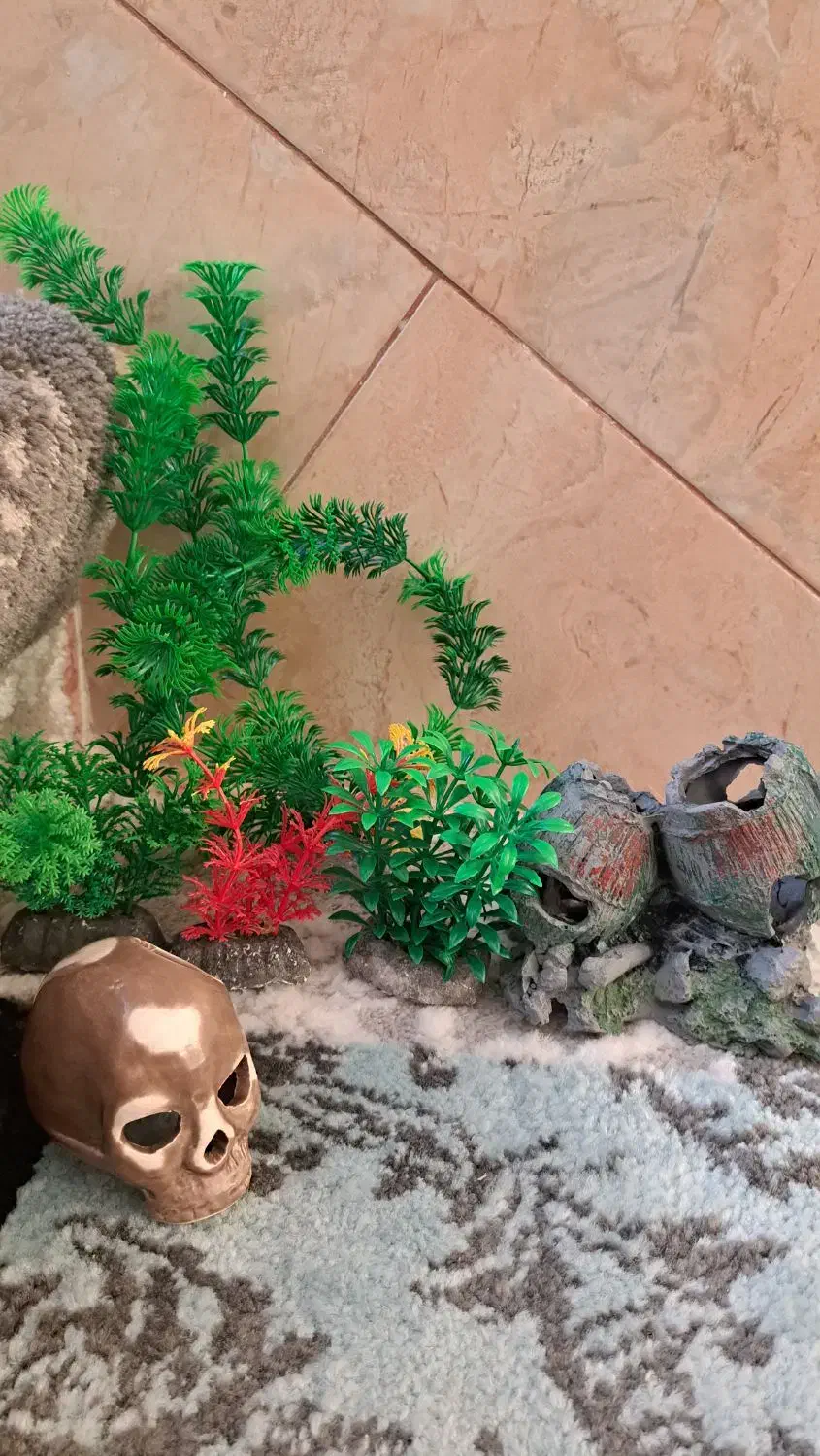 لوازم آکواریوم|لوازم جانبی حیوانات|دماوند, گیلاوند|دیوار