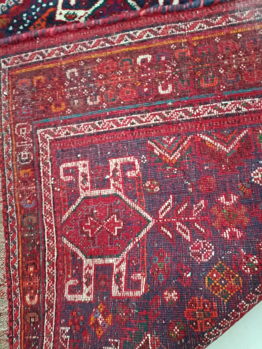 فرش دستباف|فرش|شیراز, احمدآباد|دیوار