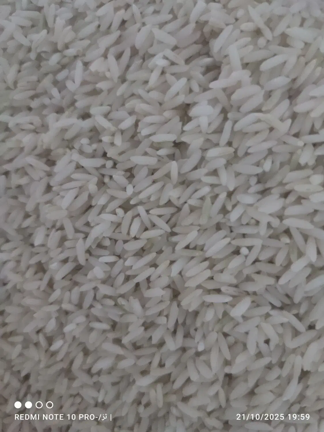 نیمدانه وسالم|خوردنی و آشامیدنی|اسفرورین, |دیوار