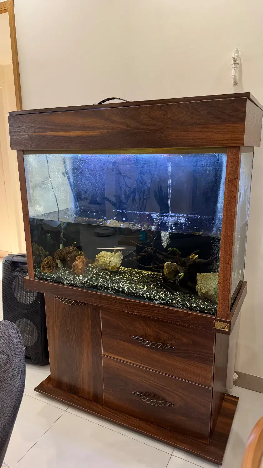 آکواریوم با تمامی تجهیزات فقط ۱۰ میلیون تومان|ماهی|تهران, سهروردی|دیوار