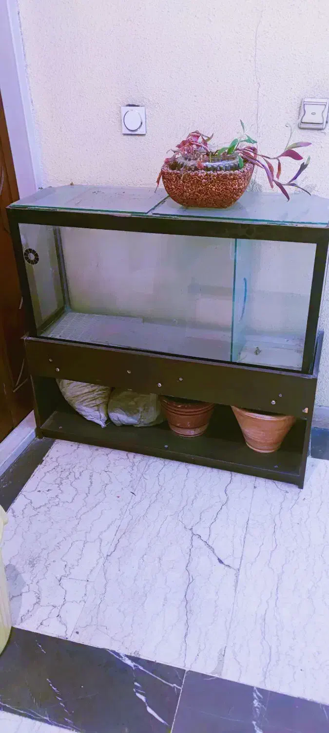 اکواریوم ماهی|ماهی|تهران, تهرانپارس جنوبی|دیوار