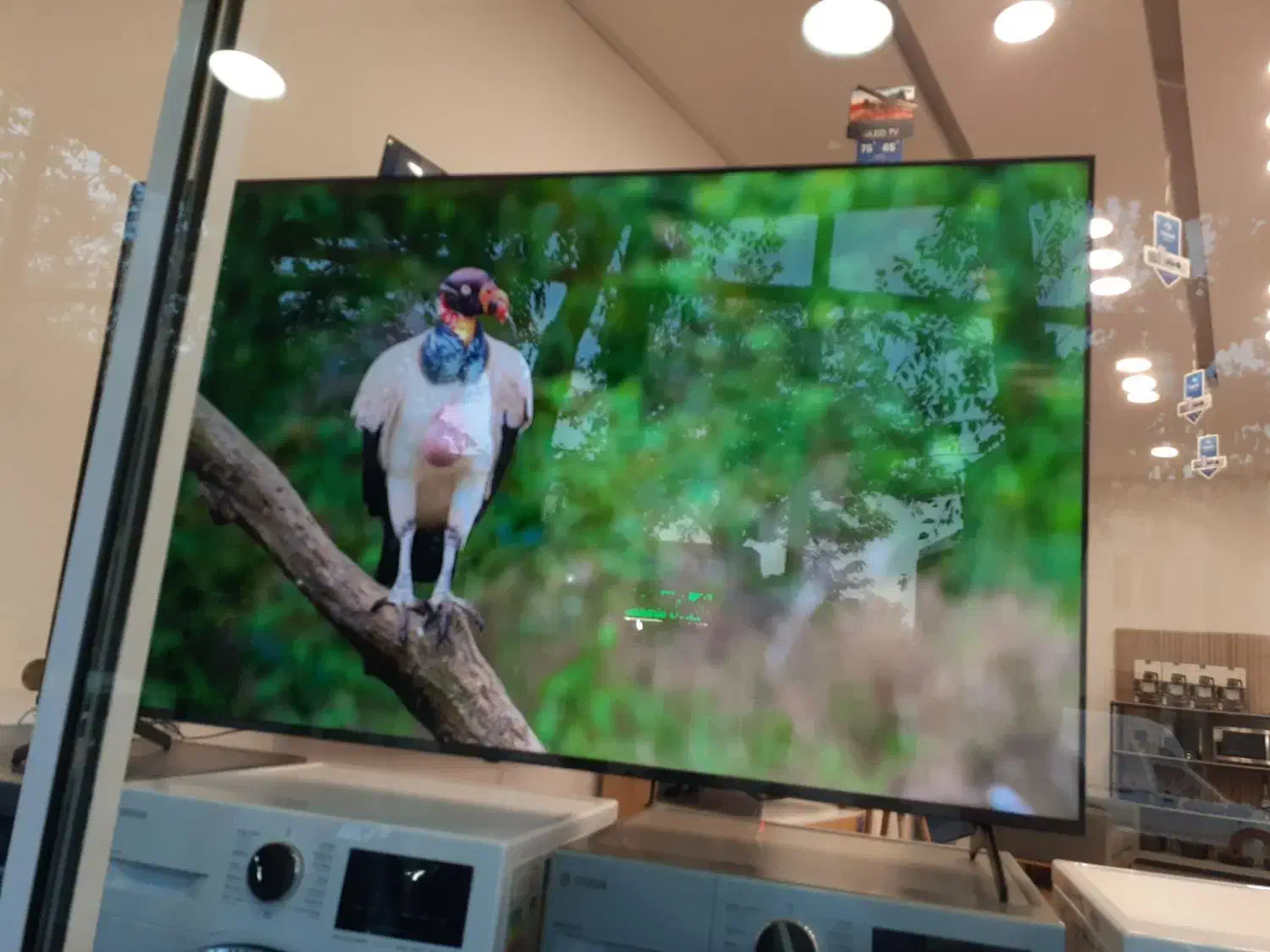 تلویزیون 75 اسنوا اقساط 15 ماهه|تلویزیون و پروژکتور|شازند, |دیوار