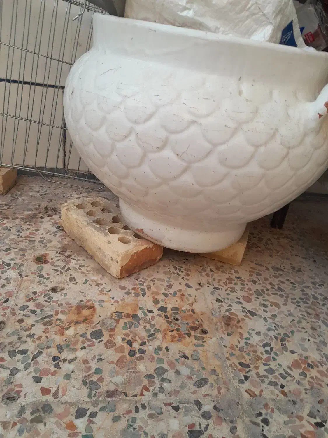 گلدان|گل و گیاه طبیعی|بندر ماهشهر, |دیوار