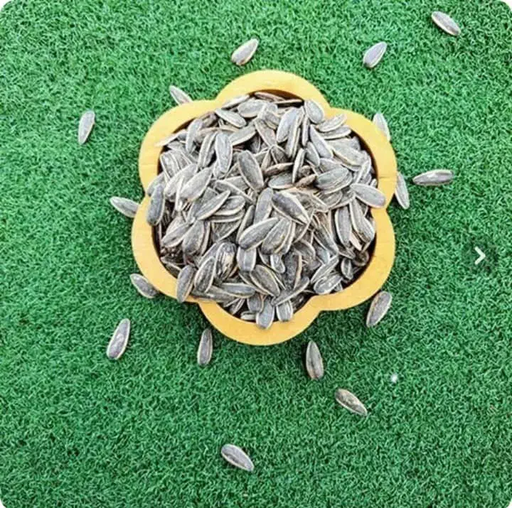 پخش عمده تخمه درجه یک لوکس  مشابه دهقان|خوردنی و آشامیدنی|محمدشهر, شهرک صنعتی زیبادشت|دیوار