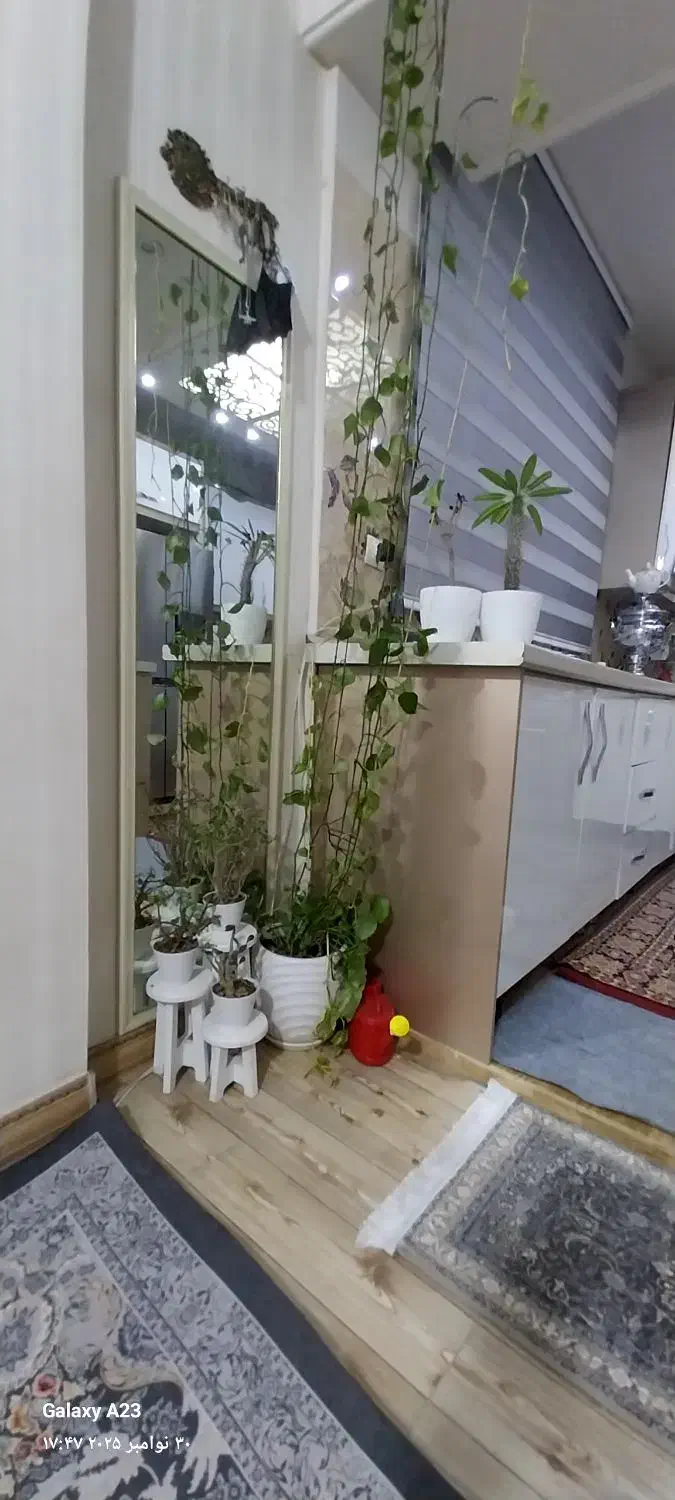 گل‌پتوس|گل و گیاه طبیعی|کرج, استاندارد|دیوار