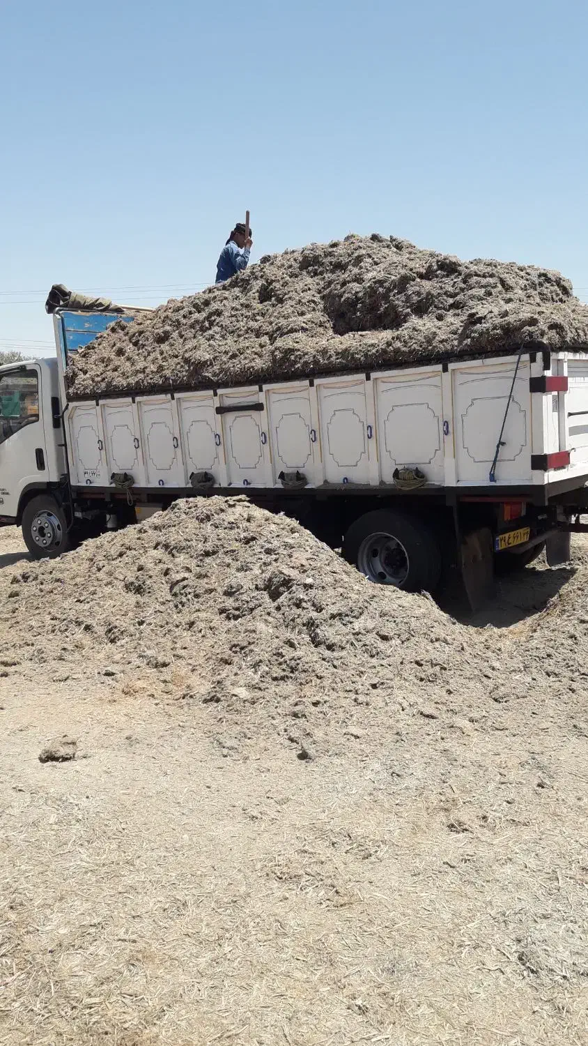 کاه درجه یک|لوازم جانبی حیوانات|خاش, |دیوار