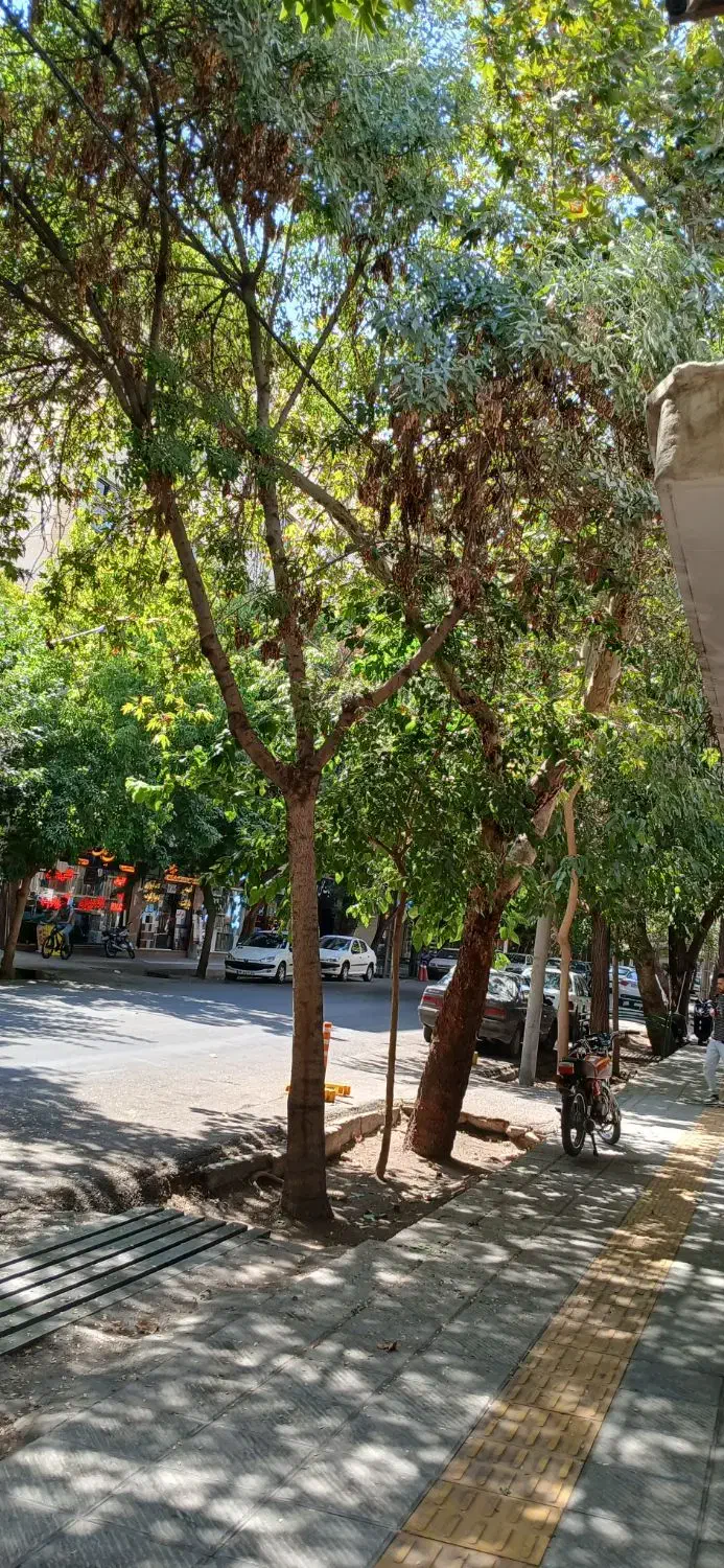 100متر شریف واقفی|فروش آپارتمان|اصفهان, ملک|دیوار