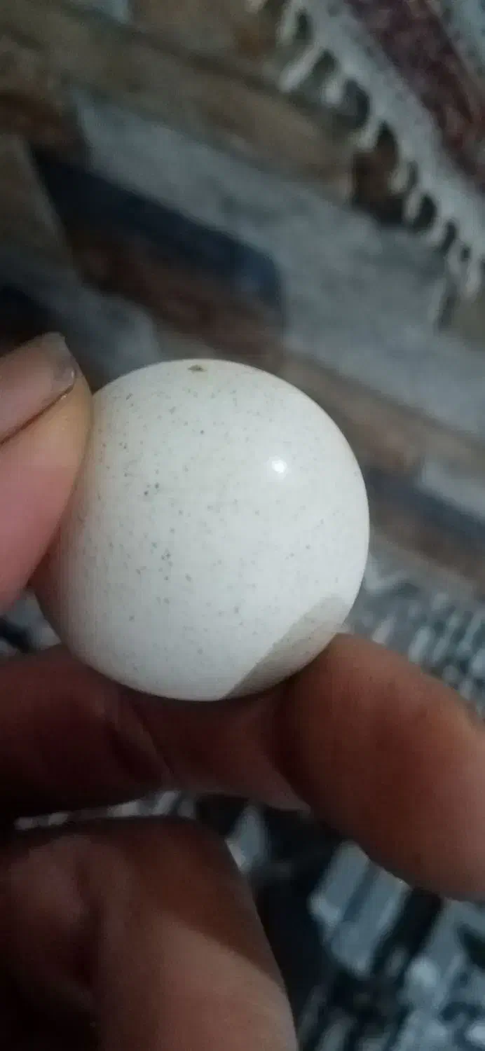 سنگ الماس و سنگ جواهر|جواهرات|چهاردانگه (تهران), |دیوار