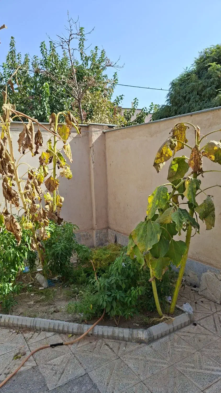 رهن اجاره شهرک مهرگان|اجارهٔ آپارتمان|مشهد, شهرک مهرگان|دیوار