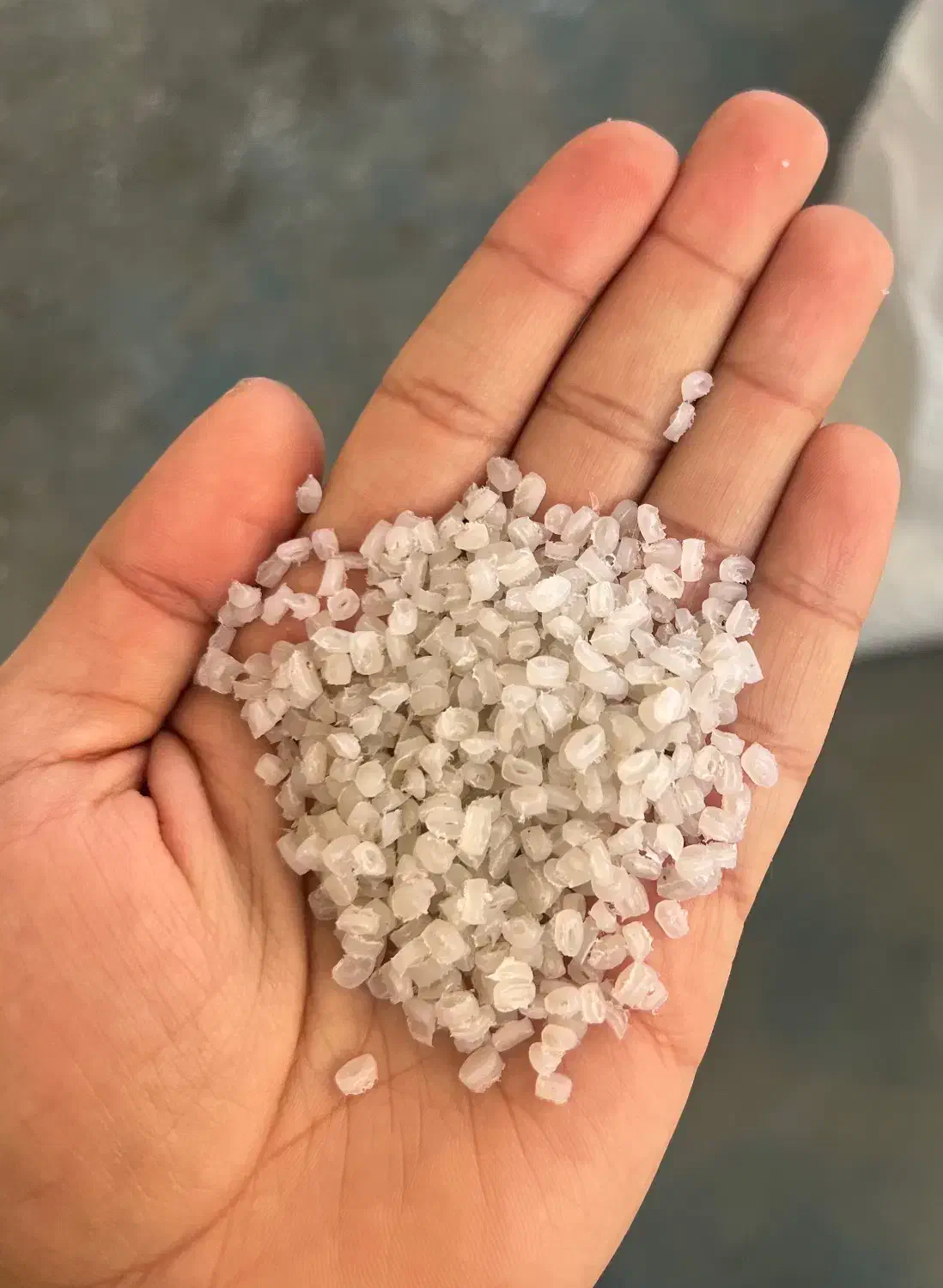 گرانول بادی درجه ۱|عمده‌فروشی|تهران, شیخ هادی|دیوار