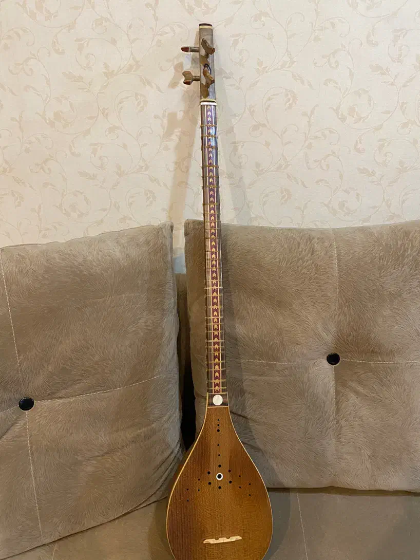 فروش سه تار حرفه ای استادی|سازهای سنتی|رشت, سعدی (تختی)|دیوار