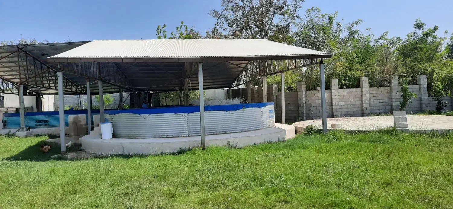 استخر پرورش ماهی|فروش دفتر صنعتی، کشاورزی، تجاری|پره‌سر, |دیوار