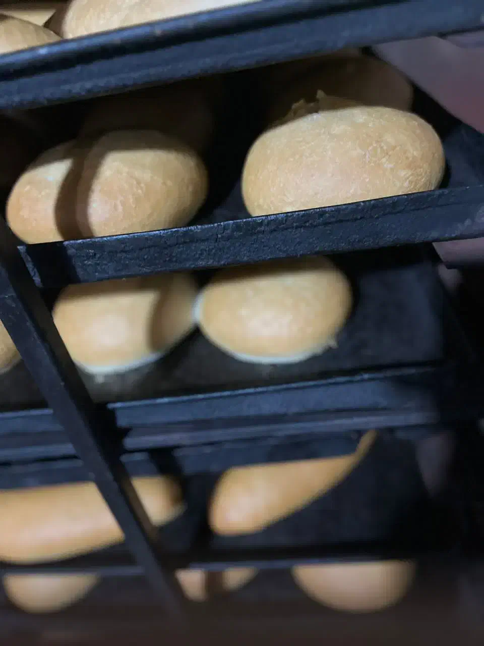 فر دار برا کلوچه|استخدام خدمات فروشگاه و رستوران|زابل, |دیوار