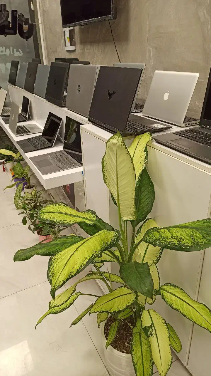 لپتاپهای .دانـش آموزی .مهـندسی.گیمـینگ.گـرافیستی|رایانه همراه|گرگان, |دیوار