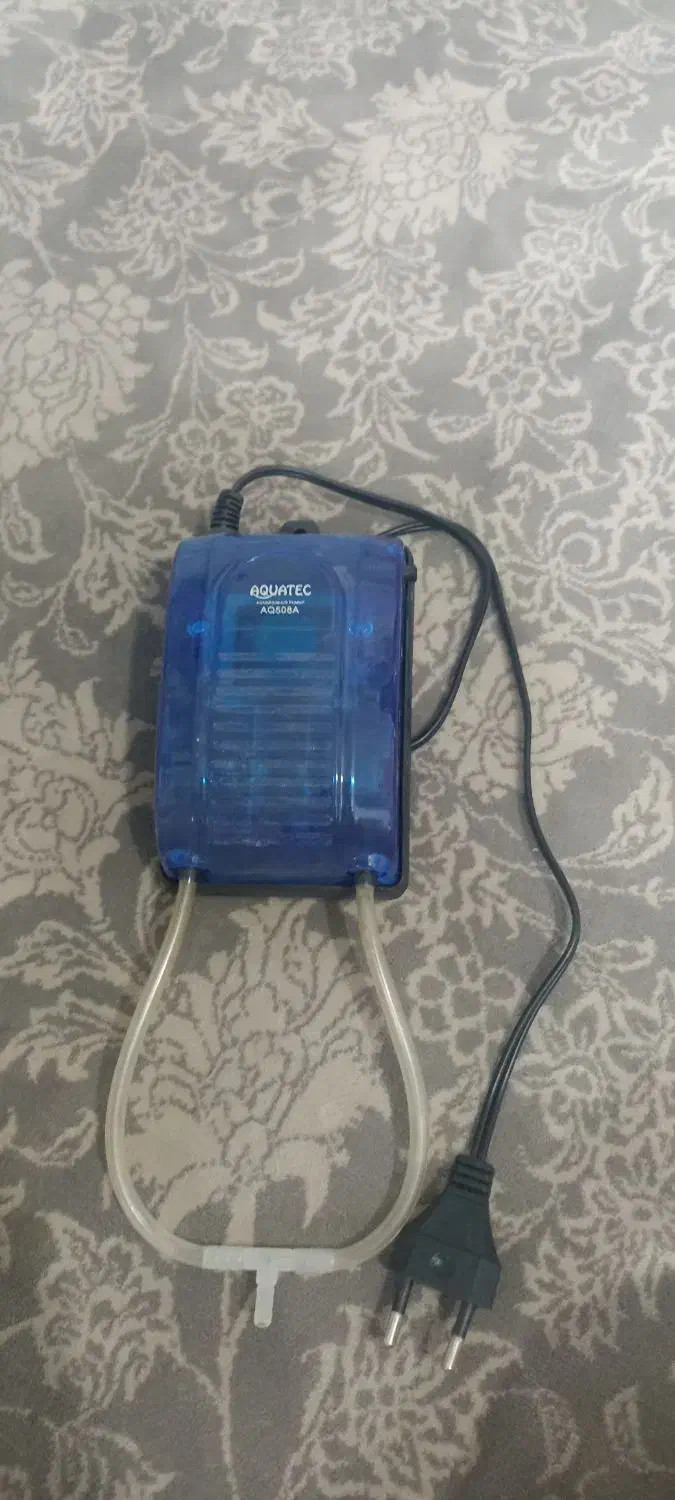 اکواریوم بزرگ همراه وسایل|ماهی|مشهد, طلاب|دیوار