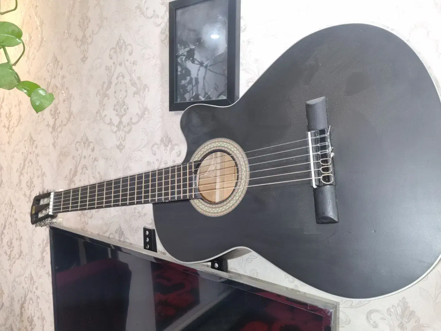 گیتار کاتوی مشکی|گیتار، بیس، امپلیفایر|رشت, چمارسرا|دیوار