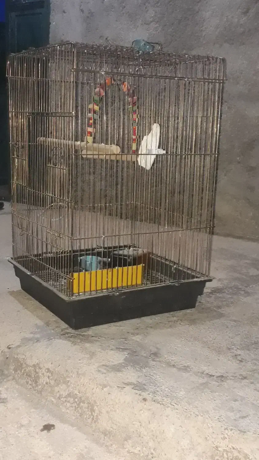 قفس پرنده|لوازم جانبی حیوانات|دهدشت, |دیوار