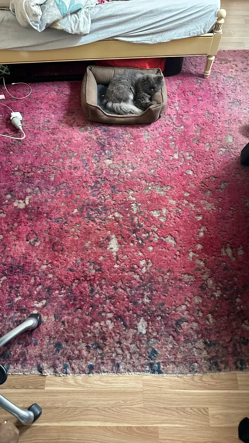 فرش وینتیج دست بافت|فرش|تهران, هروی|دیوار