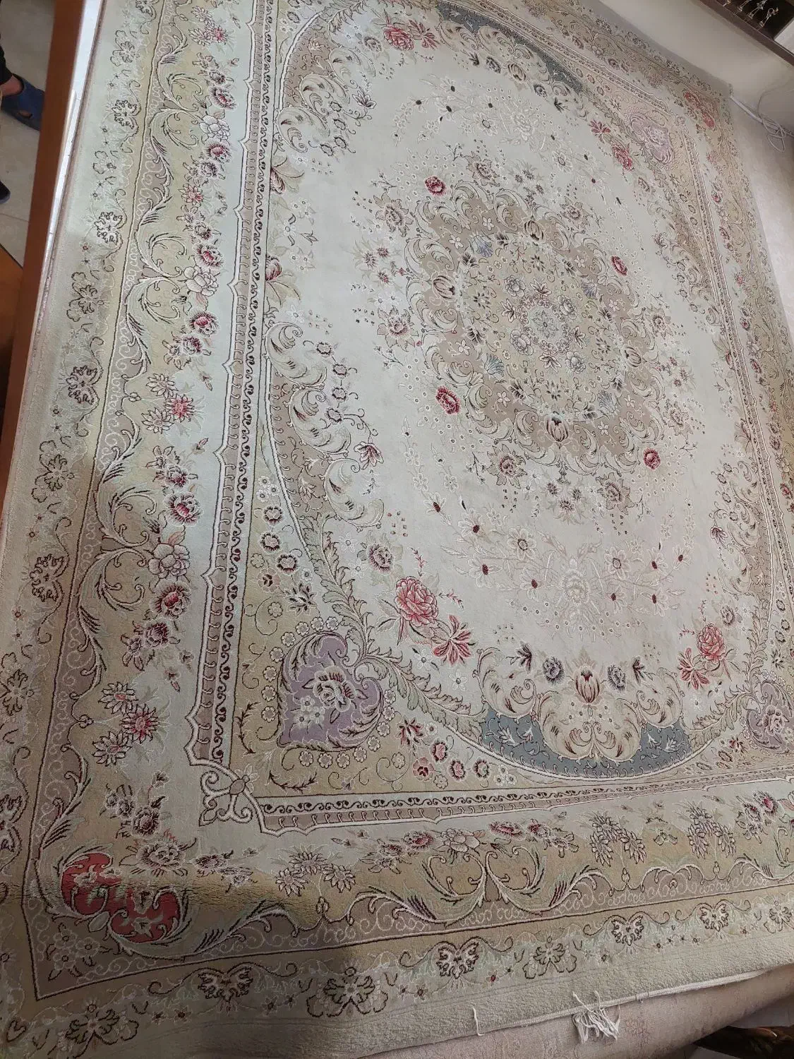 فرش ۱۲ متری در حد نو|فرش|تربت‌حیدریه, شهرک ولیعصر|دیوار