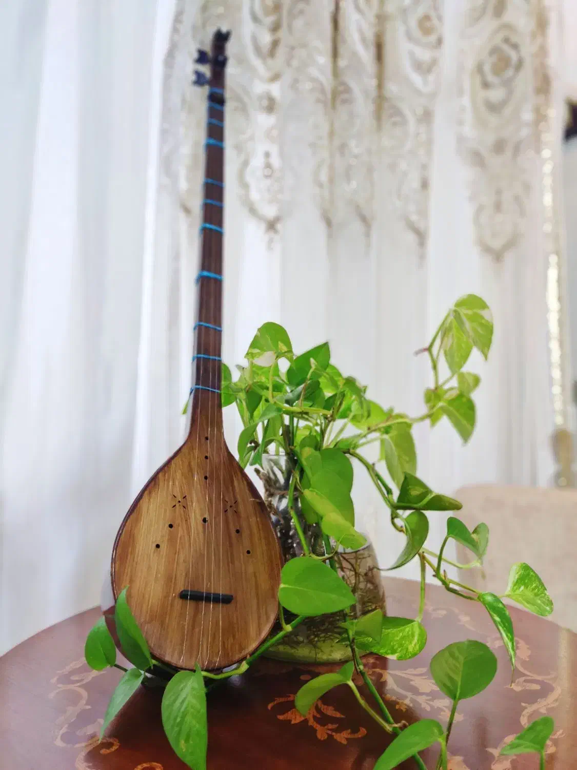 سه تار کاملا نو استفاده نشده|سازهای سنتی|رشت, حمیدیان|دیوار