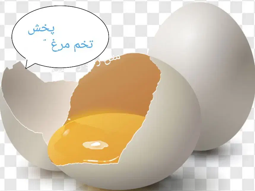 پخش تخم مرغ|خوردنی و آشامیدنی|مشهد, پنجتن|دیوار