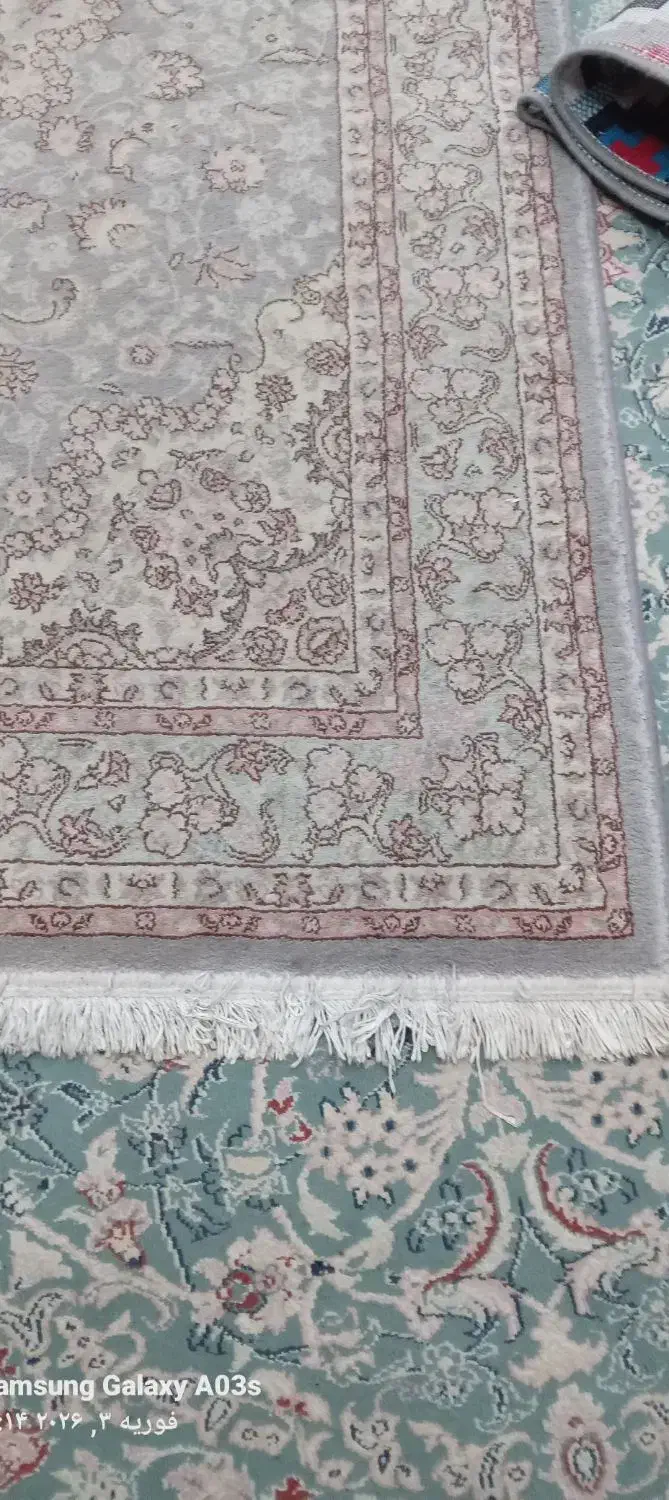 فرش، مبل،|فرش|رشت, هلال احمر|دیوار