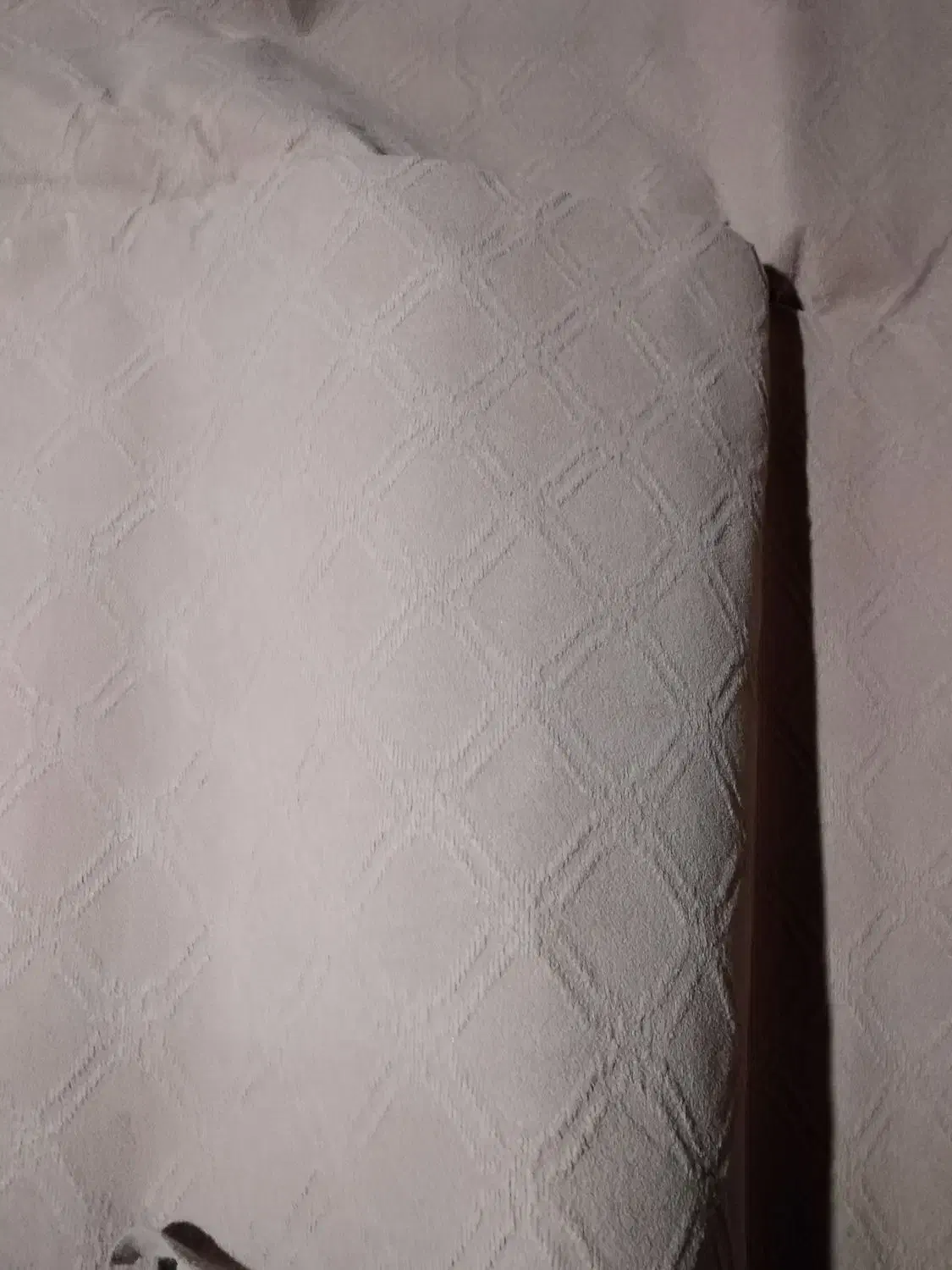 موکت|موکت|مشگین شهر, |دیوار