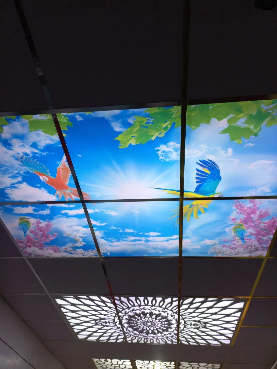 سقف کاذب و کاغذ دیواری|خدمات پیشه و مهارت|بهبهان, |دیوار