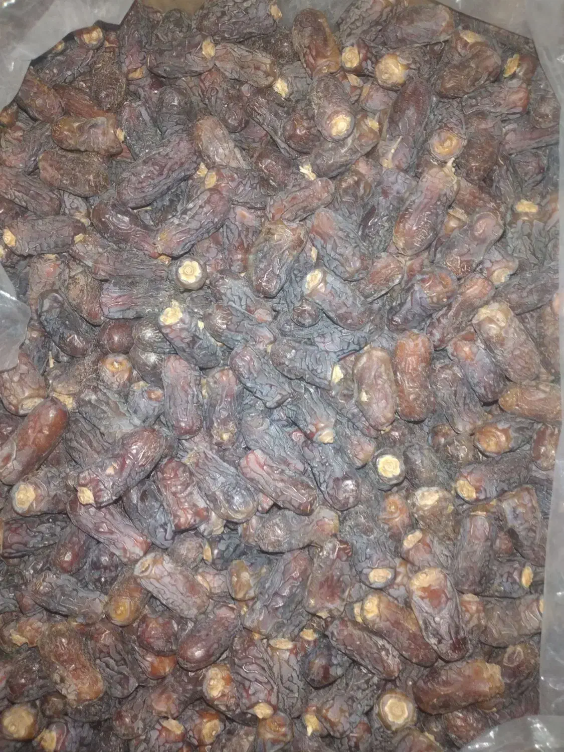 خرما پیارم|خوردنی و آشامیدنی|شیراز, شهرک فرهنگیان|دیوار