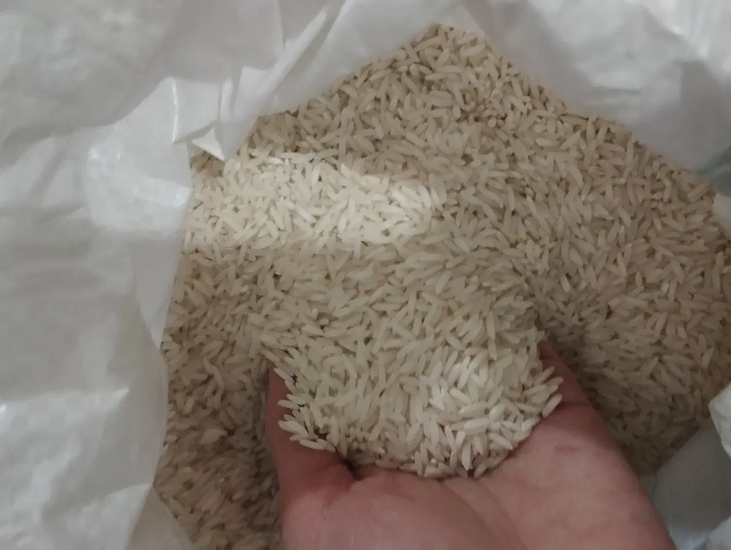 برنج|عمده‌فروشی|ری, علایین|دیوار