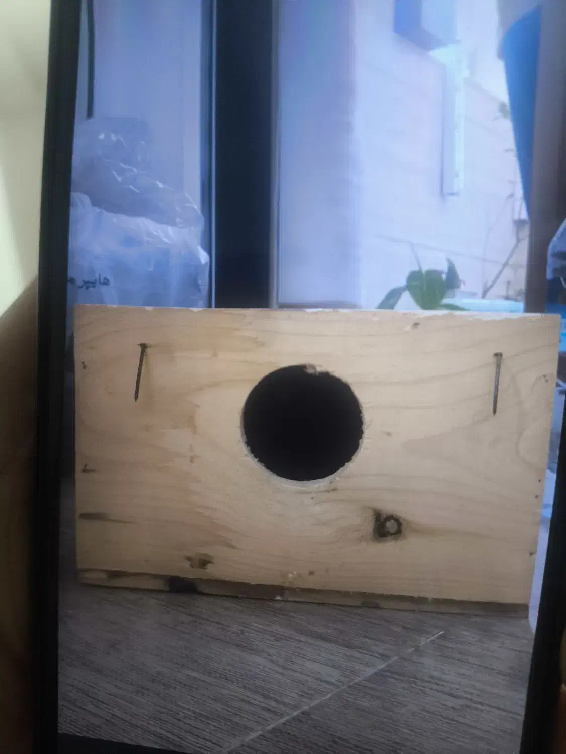 لانه پرنده|لوازم جانبی حیوانات|بندر انزلی, معلم|دیوار