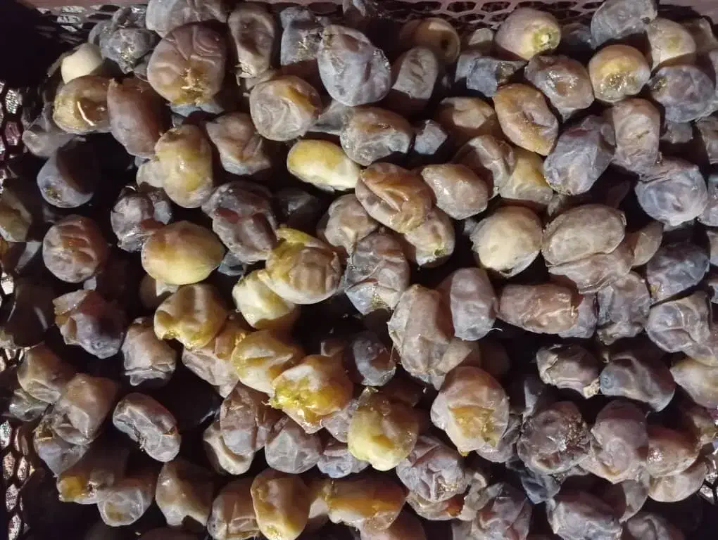 خرما|خوردنی و آشامیدنی|اهواز, زیتون کارگری|دیوار