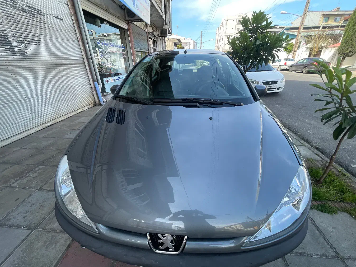 206|خودرو سواری و وانت|تولم شهر, |دیوار