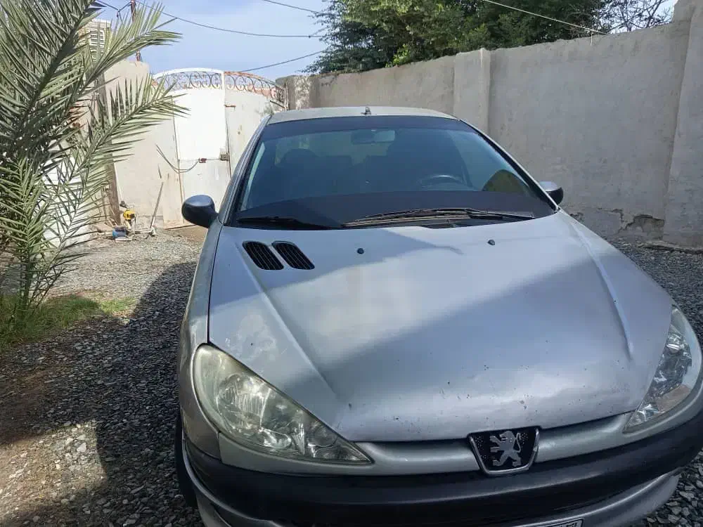 ۲۰۶مدل ۸۳ نقره ای|خودرو سواری و وانت|بافت, |دیوار